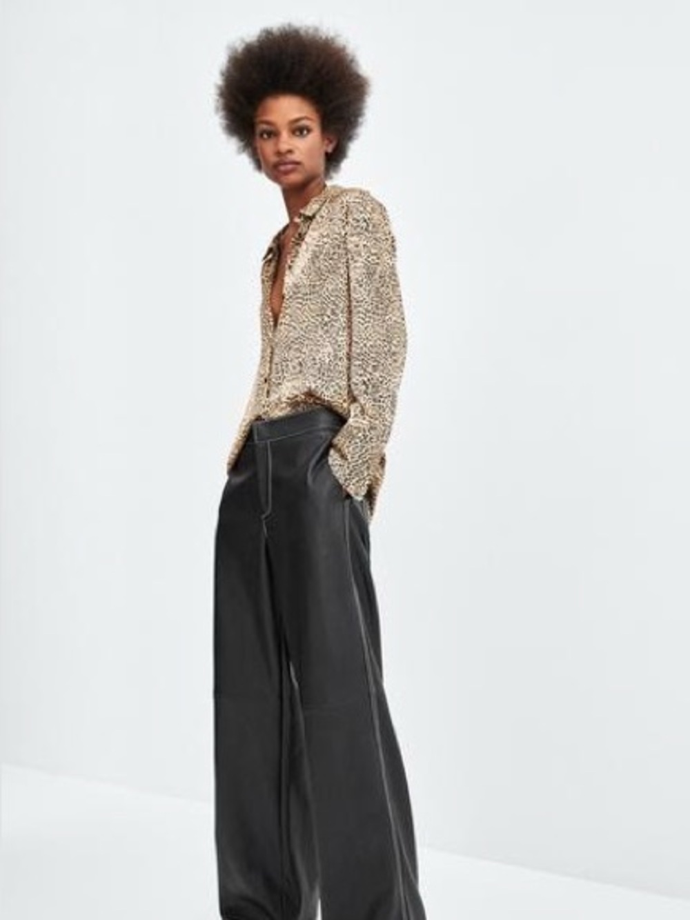 Zara Leopard Print Button-Down Shirt - Brown/Black